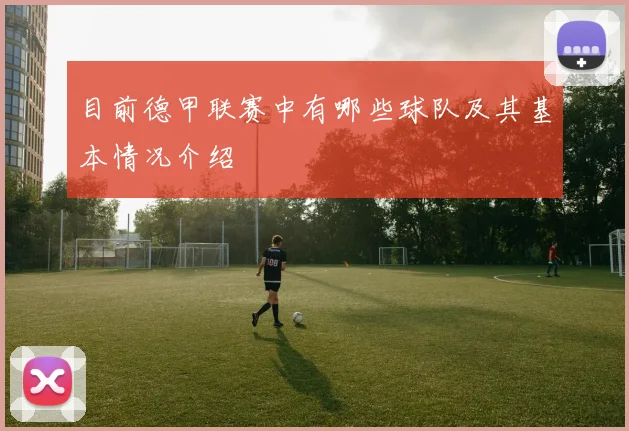 目前德甲联赛中有哪些球队及其基本情况介绍