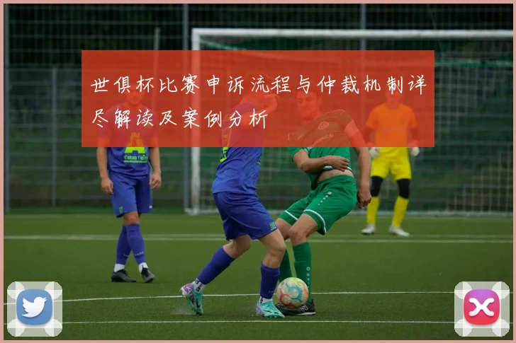 世俱杯比赛申诉流程与仲裁机制详尽解读及案例分析